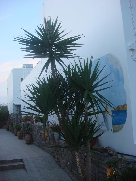 Joseph Apartments Páros Eksteriør billede